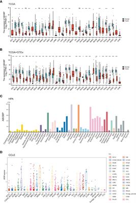 A pan-cancer analysis of ABI3BP: a potential biomarker for prognosis and immunoinfiltration